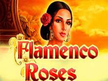 Flamenco Roses